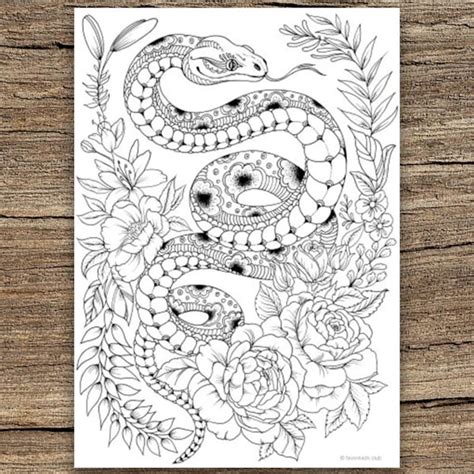 snake printable adult coloring page  favoreads coloring etsy