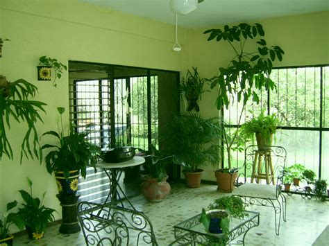 plants  rooms