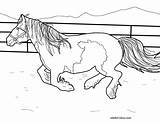 Horse Coloring Pages Gypsy Vanner Horses Printable Color Realistic Sketch Templates Template Getcolorings Simple 01kb 1100 850px sketch template