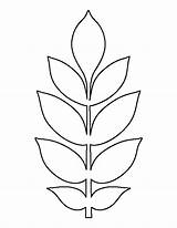 Leaf Ash Pattern Template Terms Use sketch template