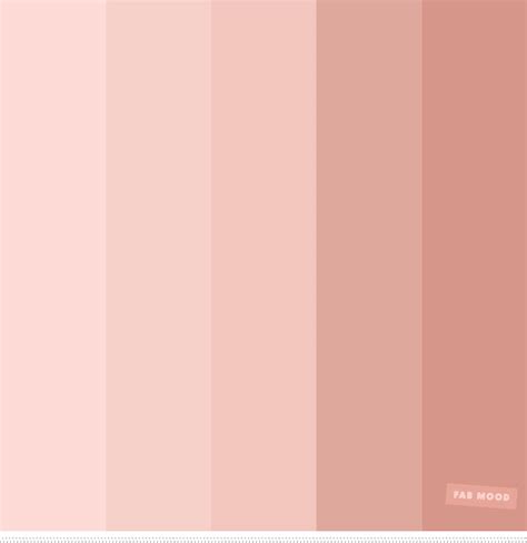 blush tones pretty blush color scheme blush color combinations
