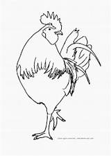 Cocos Colorat Planse Desene Mewarnai Ayam Roosters Cocosi Terbaru Chickens Animale Domestice Gallos Pelea Trafic Cocosul Educative Mancare sketch template