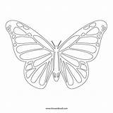 Butterfly Outline Template Monarch Stencil Coloring Printable Line Drawing Simple Butterflies Pattern Stencils Print Designs Timvandevall Silhouette Cliparts Templates Pages sketch template