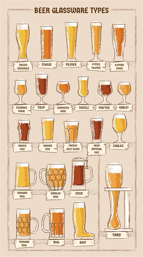 Beer Glass Types In 2020 With Images Beer Glassware Beer Glass