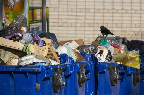 overflowing garbage cans a health risk and threat to the