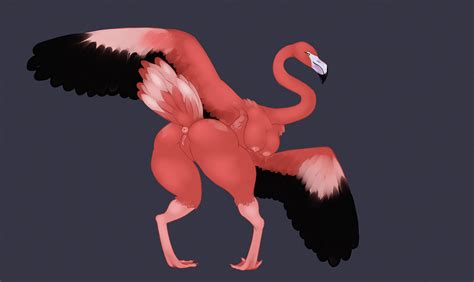 Rule 34 2017 Anthro Anus Areola Ass Avian Beak Big Breasts Big Butt