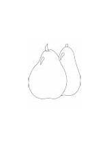 Coloring Pages Pear Small Big Pears Two sketch template