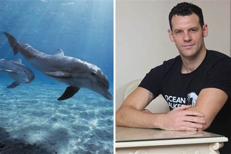 a champion swimmer was saved from a shark attack by dolphins daily star