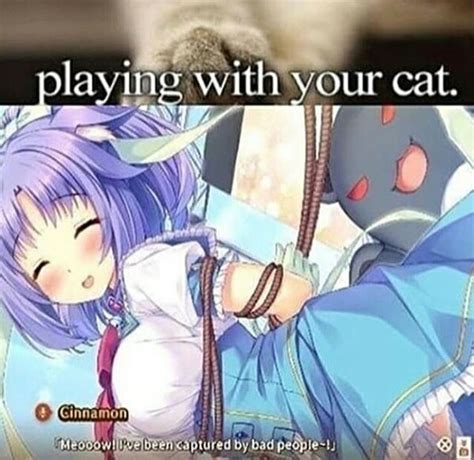 The Best Neko Memes Memedroid