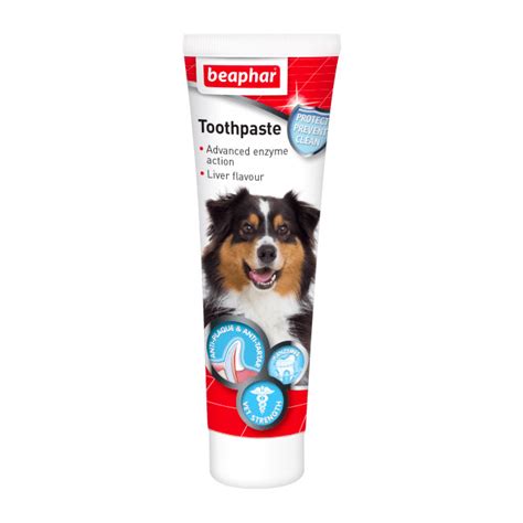 beaphar toothpaste  dogs  peejay pets superstore