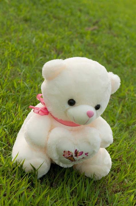 shipping  arrival teddy bears dolls plush gift toys teddy bear