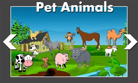 animal world game  kids apk   android