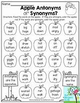 Grade Synonyms Antonyms Antonym 2nd Worksheets Worksheet Synonym Apple Grammar Words Pairs Drawing Reading English Read Second Writing Language Activities sketch template