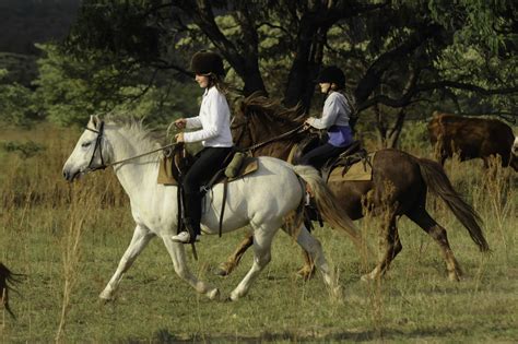 10 African Riding Safaris For Beginners To Expert Riders