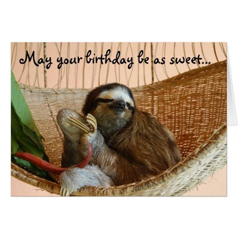 happy birthday cute sloth card zazzlecom