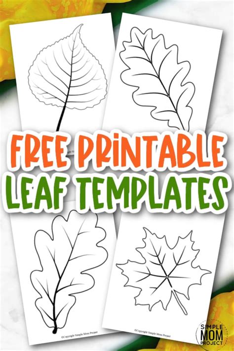 printable fall stencils printable templates