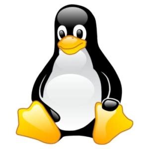 hangi linux dagitimi linux kategorisi