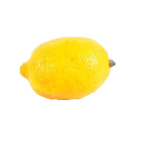 citron accessoire fleurs plantes artificielles