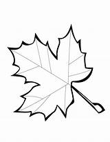 Coloring Leaf Leaves Printable Pages Color Template Kids Maple Drawing Clipart Leave Library Popular Flashcards Letter Used Getdrawings Azcoloring Comments sketch template