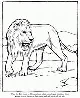 Lion Coloring Pages Print Everfreecoloring Printable sketch template