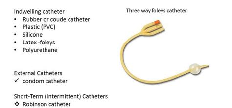 foleys catheter   types    sizes surgical technology