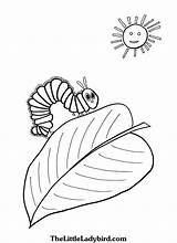 Caterpillar Hungry Coloring Pages Leaf Printable Very Awesome Entitlementtrap Butterfly Sheets Animal Kids sketch template