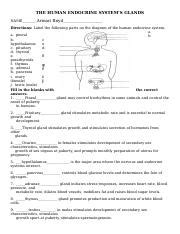 endocrine system worksheet  captions hd