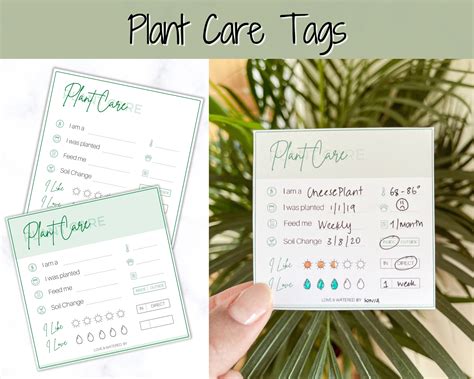 plant care tags printable plant care sheet plant care etsy  xxx hot girl
