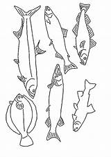 Fish Coloring Pages Kids Animated Vissen Fun sketch template