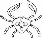 Coloring Crab Pages sketch template
