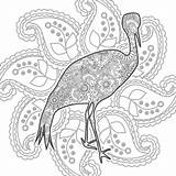 Scarabocchio Coloritura Rilascio Animale Disegnato Zentangle Paisley sketch template