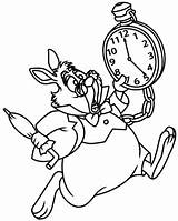 Wonderland Alice Rabbit Drawing Mad Hatter Cartoon Drawings Draw Disney Pages Coloring Hat Scientist Getdrawings Step Resources Choose Board Tea sketch template