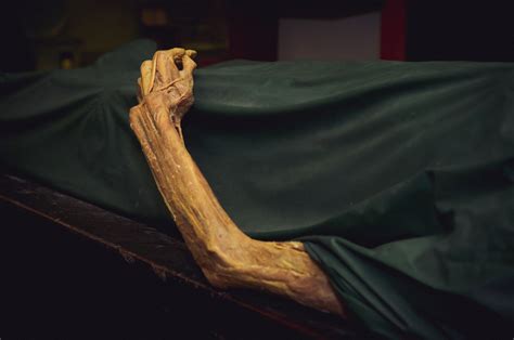 What A Forensic Scientist Doesn’t Tell You 7 Postmortem
