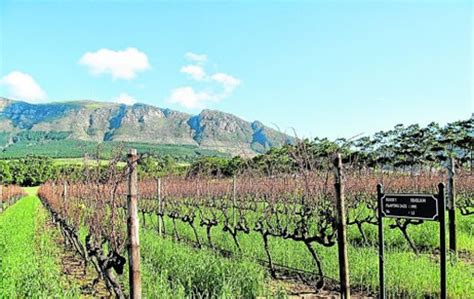 exclusive historic constantia uitsig wine estate  market   whopping rm