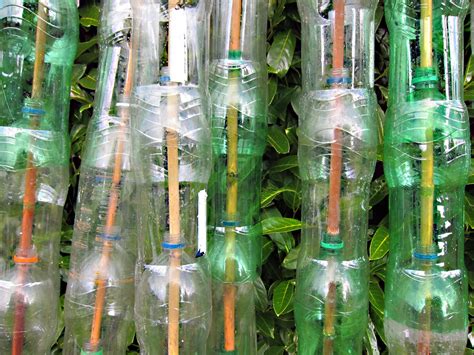 creative ideas     plastic bottles   amaze