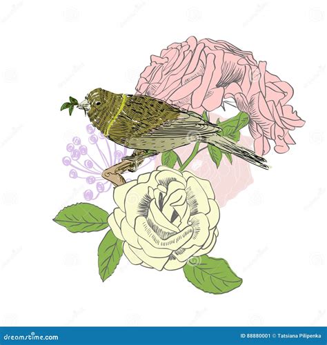 bird  flowers stock vector illustration  color