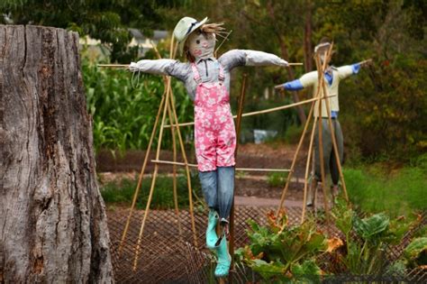 How To Make Your Own Scarecrow