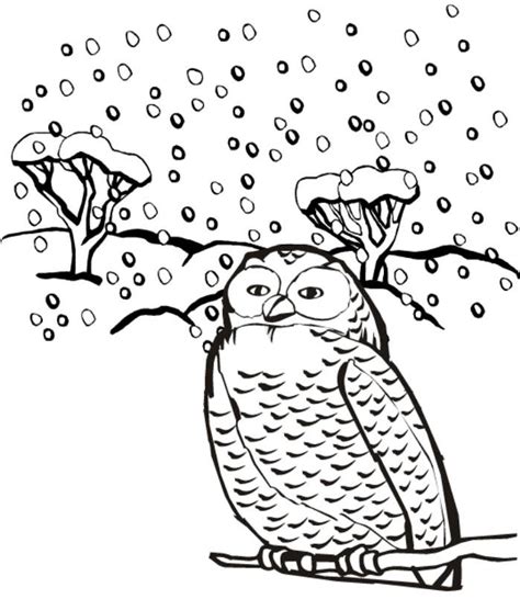 winter animal coloring page  svg png eps dxf  zip file