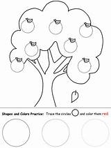 Worksheets Worksheet Circle Preschool Tree Shape Apple Shapes Tracing Coloring Trace Color Pre Pages Circles Activities Printable Kindergarten Practice Fruit sketch template