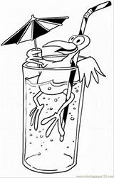 Coloring Pages Drink Starbucks Bird Having Drinks Template Printable sketch template