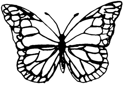 printable butterfly stencils   change  size