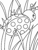 Coloring Grass Pages Ladybug Walking Designlooter Grow Well So Color 55kb sketch template