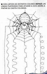 Worksheet Worksheets Halloween Spider Preschool Para Trace Line Kindergarten Actividades Tracing Kids Preescolar Toddler Crafts Niños Numeros Number Actvities Pasta sketch template