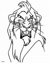 King Lion Coloring Pages Kopa Template Books sketch template