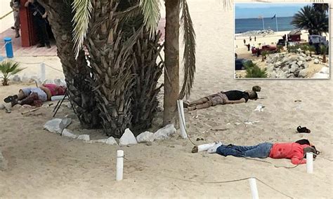 gunmen attack mexico s playa palmilla beach killing 3