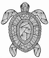 Coloring Pages Adults Animal Turtle sketch template