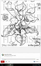 Drawing Drawings Painting Calla Lilies Tattoo Lily Stamp Leather sketch template