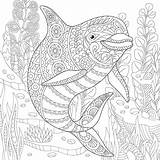 Coloring Pages Adult Ocean Underwater Life Dolphin Drawing Adults Print Sheets Animals Printable Zentangle Book Animal Getdrawings Kids Stress Doodle sketch template