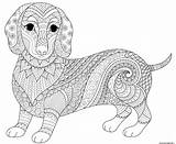 Mandala Coloriage Teckel Animaux Saucisse Dachshund Adulte Perroquet Imprimé sketch template