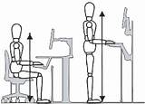 Ergonomics Anthropometric Ergonomic Anthropometrics Examples Interior Task Anthropometry Measurements Architecture Study Hand Chair Dt Used Principles Sizes Related Set sketch template